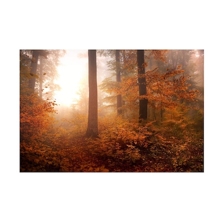 Irmawarth  'Autumn' Canvas Art, 16x24